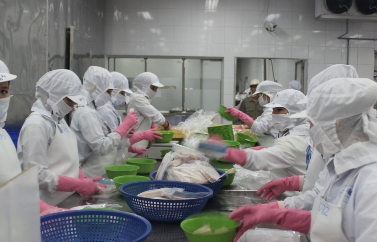 Tuna exports to China increases by 332 in first half of September